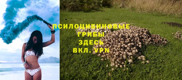 шишки Алексин