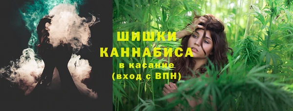 шишки Алексин