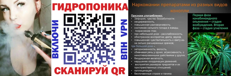 МАРИХУАНА ГИДРОПОН  где найти   Буй 